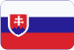 Pompe de graissage Slovensky